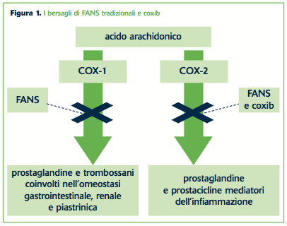 Figura 1. I bersagli di FANS tradizionali e coxib